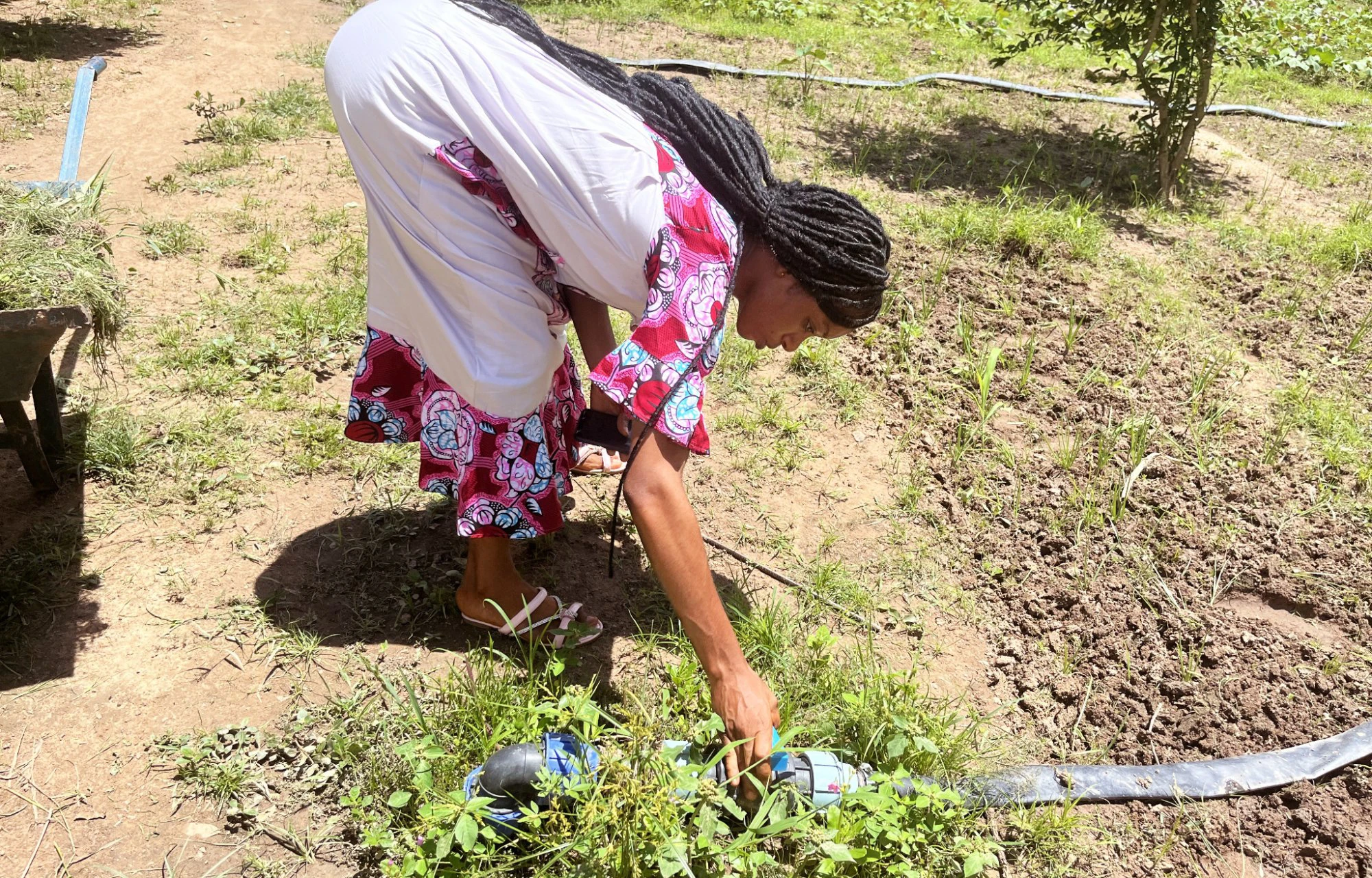 Agroecologia al Femminile